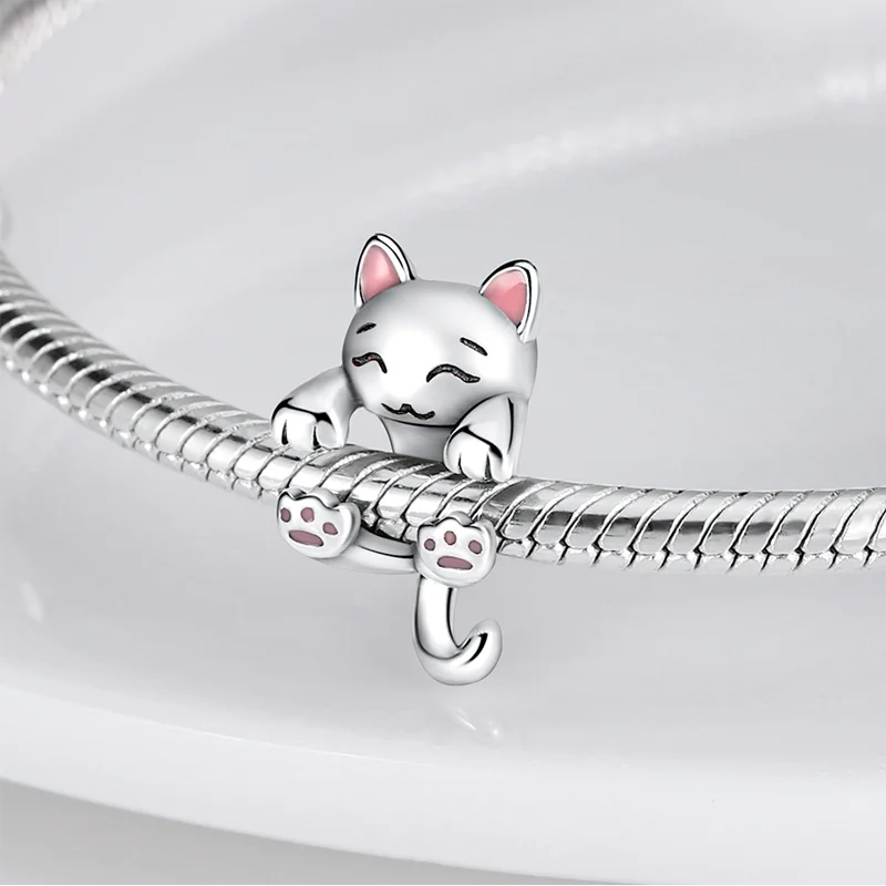 Image du produit 48